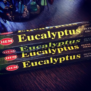 HEM 6-гр. благовония Eucalyptus ЭВКАЛИПТ